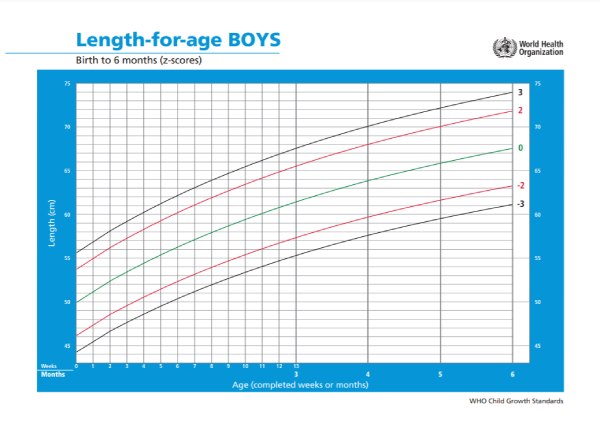 Grafik berat menurut umur untuk anak laki-laki usia 0-6 bulan. Sumber: WHO, 2020